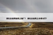 湖北企业网站线上推广？ 湖北企业网上办事大厅？