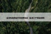 盐池电商网站开发招聘信息（盐池门户网站招聘）