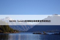 SEO01（seo01短视频在线观看软件的特点）