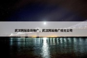 武汉网站自动推广，武汉网站推广优化公司