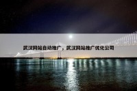 武汉网站自动推广，武汉网站推广优化公司