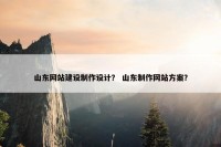 山东网站建设制作设计？ 山东制作网站方案？