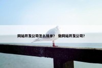 网站开发公司怎么接单？ 做网站开发公司？