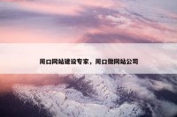 周口网站建设专家，周口做网站公司