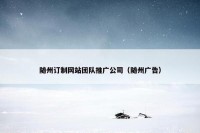 随州订制网站团队推广公司（随州广告）