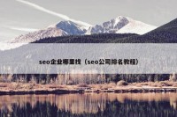 seo企业哪里找（seo公司排名教程）