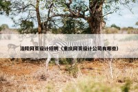 涪陵网页设计招聘（重庆网页设计公司有哪些）