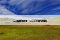seo标题在哪里（seo标题制作策略）