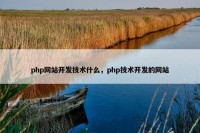 php网站开发技术什么，php技术开发的网站