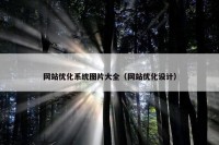 网站优化系统图片大全（网站优化设计）