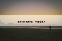 小泽seo熊掌号？ 小泽全名？