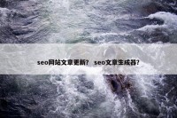 seo网站文章更新？ seo文章生成器？