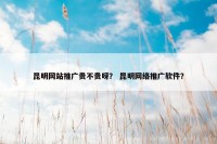 昆明网站推广贵不贵呀？ 昆明网络推广软件？