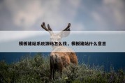 模板建站系统源码怎么找，模板建站什么意思