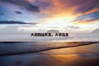 大浪网站开发，大浪信息
