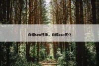 白帽seo违法，白帽aso优化