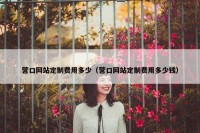 营口网站定制费用多少（营口网站定制费用多少钱）