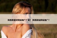 陕西质量好网站推广厂家？ 陕西新站网站推广？