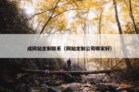 成网站定制联系（网站定制公司哪家好）