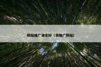 网站推广谁家好（做推广网站）