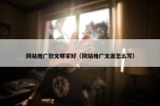网站推广软文哪家好（网站推广文案怎么写）