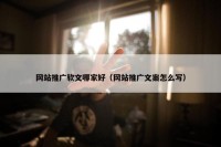 网站推广软文哪家好（网站推广文案怎么写）