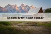 b2b商务网站推广软件，b2b商务平台怎么推广