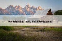 b2b商务网站推广软件，b2b商务平台怎么推广