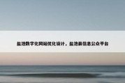 盐池数字化网站优化设计，盐池县信息公众平台