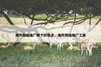 海外网站推广哪个好做点，海外网站推广工具