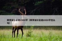 网页设计总结2000字（网页设计总结2000字怎么写）