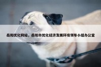 岳阳优化网站，岳阳市优化经济发展环境领导小组办公室