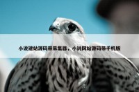 小说建站源码带采集器，小说网站源码带手机版