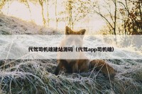 代驾司机端建站源码（代驾app司机端）