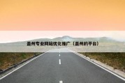 盖州专业网站优化推广（盖州的平台）
