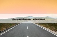 盖州专业网站优化推广（盖州的平台）