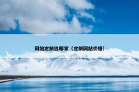 网站定制选哪家（定制网站价格）