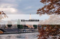包含seo挖取的词条
