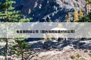 有名做网站公司（国内做网站最好的公司）