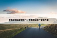 青海省网站策划推广，青海网站推广策划方案