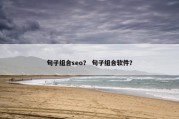 句子组合seo？ 句子组合软件？