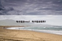 句子组合seo？ 句子组合软件？
