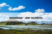 安阳品牌网站推广（安阳广告公司排行榜）