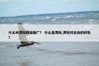 什么叫贯标网站推广？ 什么是贯标,贯标对企业的好处？