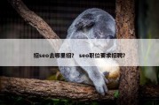 招seo去哪里招？ seo职位要求招聘？