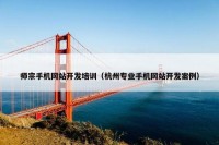 师宗手机网站开发培训（杭州专业手机网站开发案例）