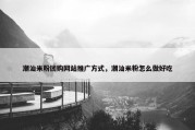 潮汕米粉团购网站推广方式，潮汕米粉怎么做好吃