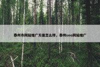 泰州市网站推广方案怎么样，泰州seo网站推广