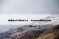 网站搜索引擎优化知识，网站搜索引擎优化策略