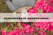 湖北网站定制开发要多少钱（网站定制开发公司哪家好）
